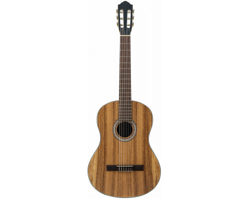 Фото Классическая гитара FLIGHT C-110 AC