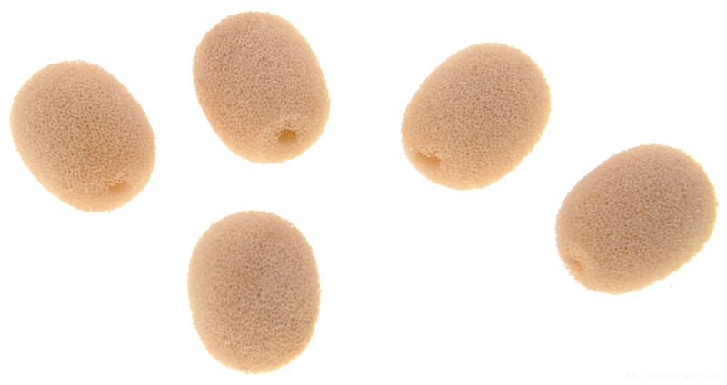 Фото DPA DUA0531F