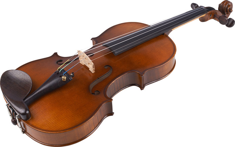 Фото Karl Hofner H8E-V 3/4