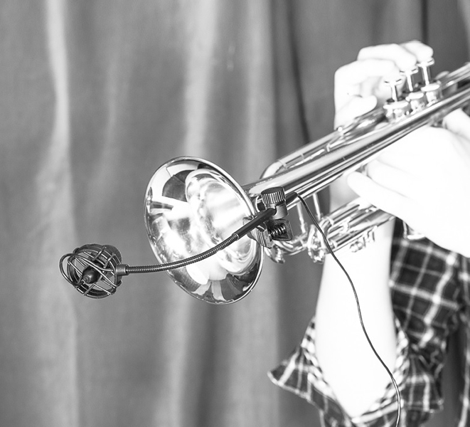 Фото Микрофон для перкуссии Prodipe PROSB21 SB21 Lanen 