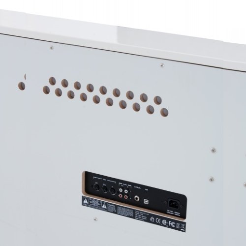 Фото Kurzweil CUP1 WHP