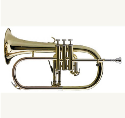 Фото Флюгельгорн Bb Prelude by Bach FH-600