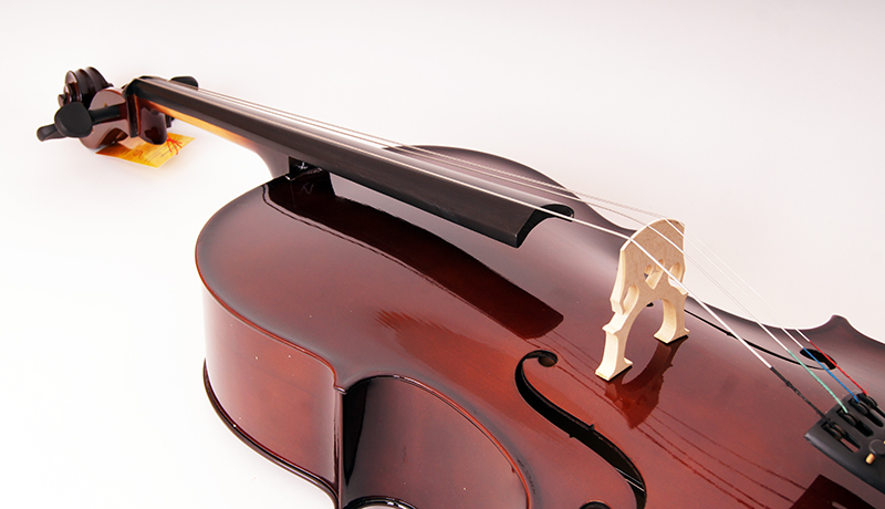 Фото Виолончель 1/2, с чехлом и смычком Caraya MC760R-1/2