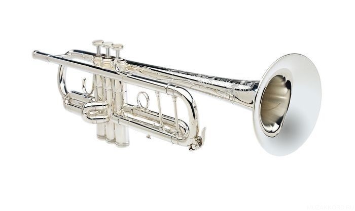 Фото BACH 190 S37