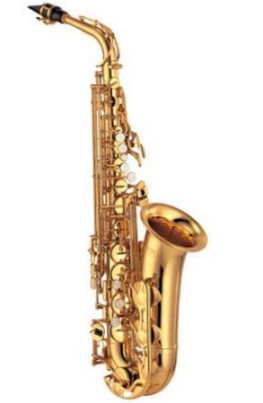 Саксофон Альт ROLLINSAR Custom Class в магазине Music-Hummer