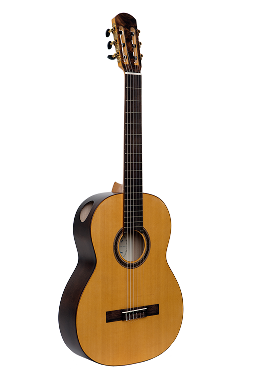 Фото Классическая гитара NewTone Silena NT SP