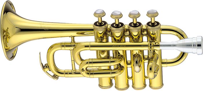 Фото Труба пикколо "Bb" AMATI ATR 383E-O