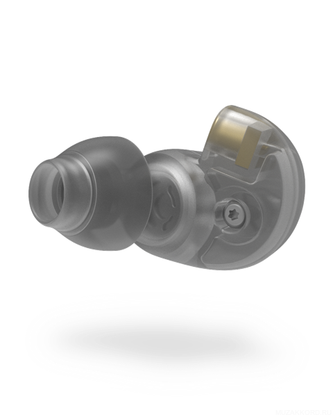 Фото FENDER DXA1 PRO IEM- TRANSP CHARCOAL