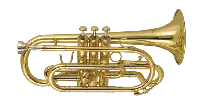 Фото Корнет WISEMANN DCT-400