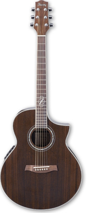 Фото Электроакустическая гитара Ibanez EW20WNE NT