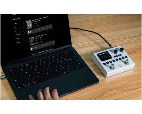 Фото Процессор эффектов SORAN JME-02 Dual Stomp Lite