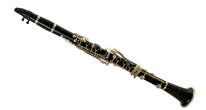 Фото Кларнет WISEMANN DCL-250