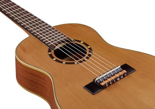 Фото Ortega R122 Family Series