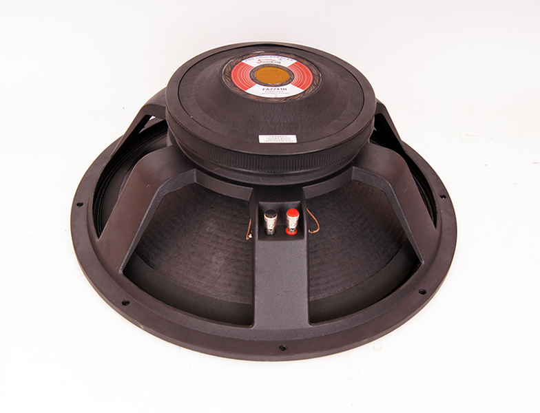 Фото Динамик НЧ-СЧ 18'' Soundking FA2241H