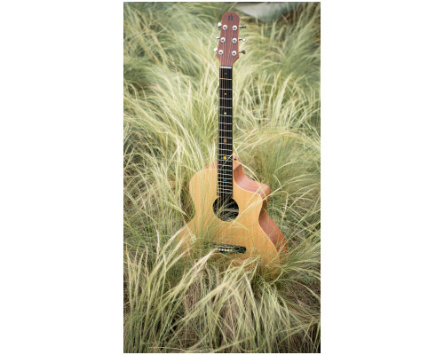 Фото Акустическая гитара NATASHA Jupiter JC 41