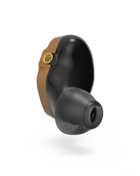 Фото FENDER FXA7 PRO IEM- GOLD