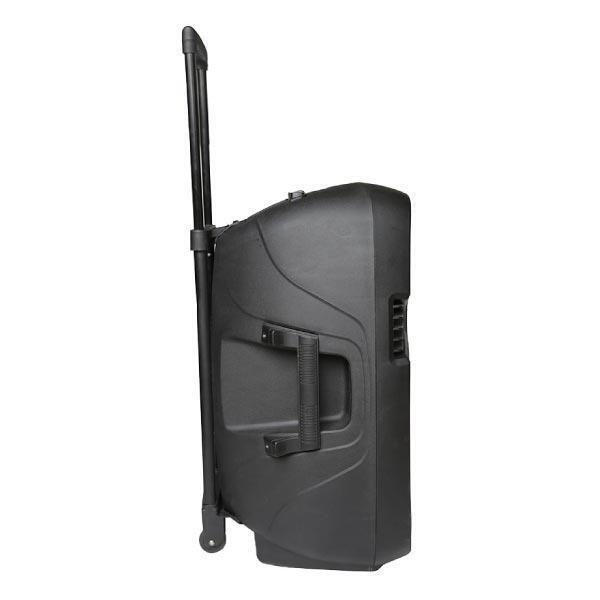 Фото Активная акустическая система ECO VOYAGE X