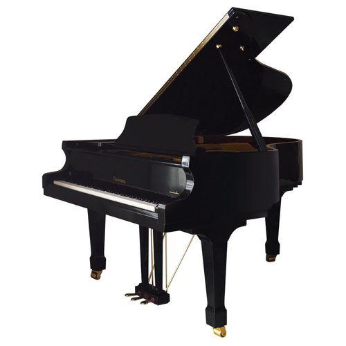 Фото Zimmermann Standard Z 185