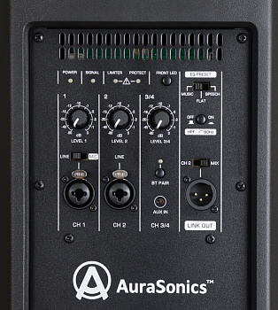 Фото Активная акустическая система AuraSonics SOLO D12
