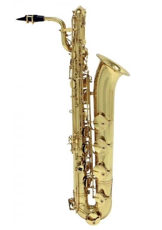 ROY BENSON BS-302 в магазине Music-Hummer