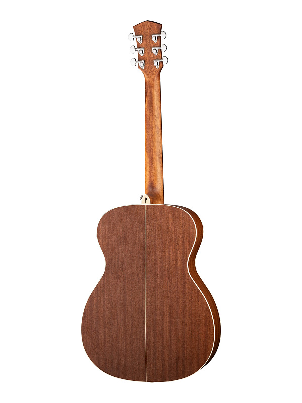 Фото Акустическая гитара Parkwood S22-GT