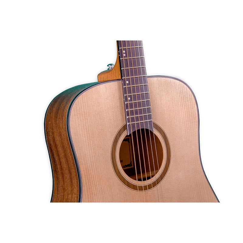 Фото Акустическая гитара Omni D-120 NT