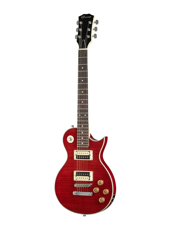 Фото Электрогитара Caraya E231TRD