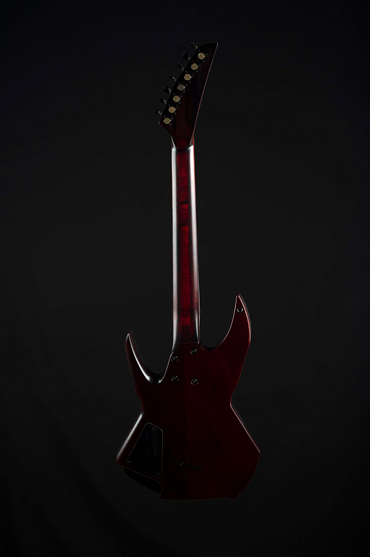 Фото Электрогитара RUSICH GUITARS Svetoch Titanium edition 