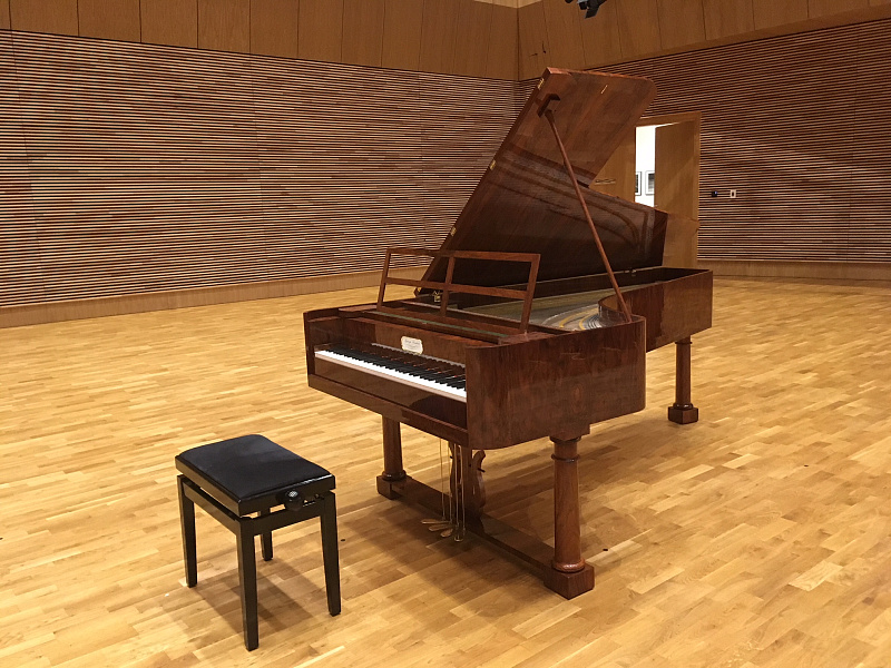 Фото PAUL McNULTY CC-F4 AFTER BUCHOLTZ, 1826