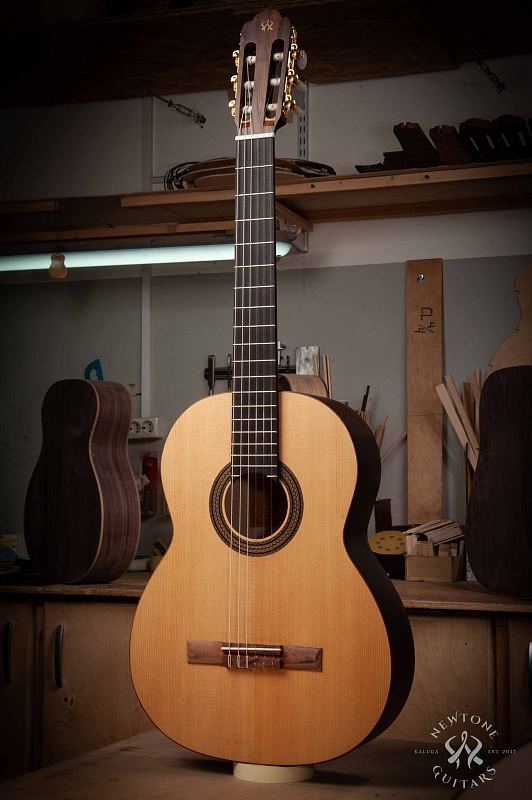 Фото Классическая гитара NewTone Silena S N/T