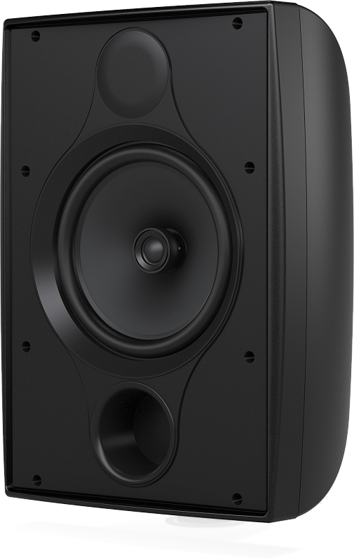 Фото Всепогодная АС Tannoy DVS 8T