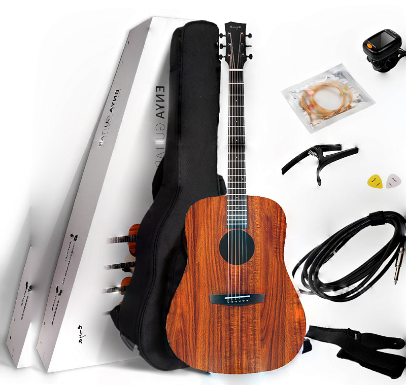 Фото Enya ED-X1+