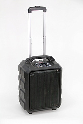 Активная акустическая система Leem PR-6