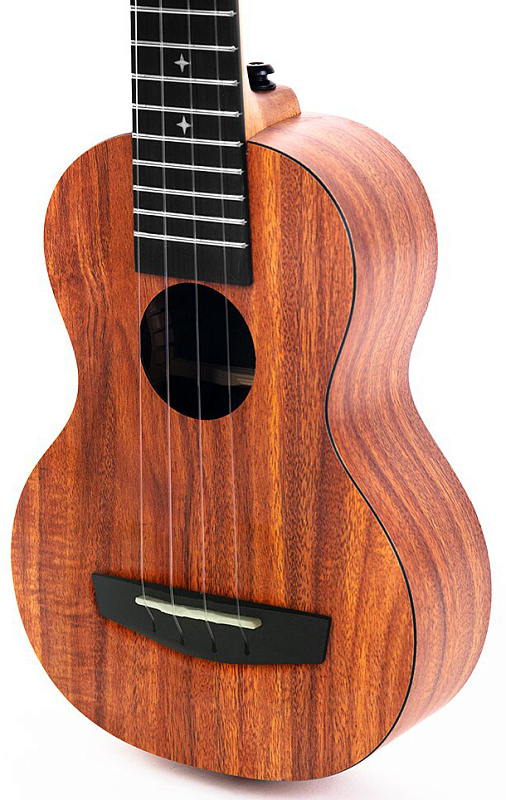 Фото Enya EUS-X1