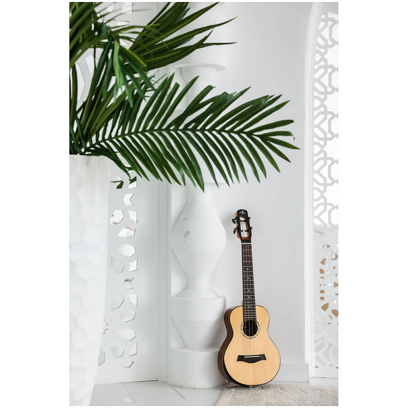 Фото Укулеле концерт FLIGHT VOYAGER CONCERT EQ-A