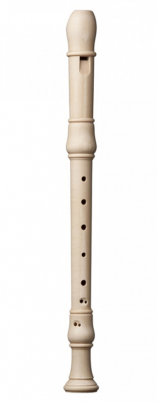 Фото Kung Studio 1402