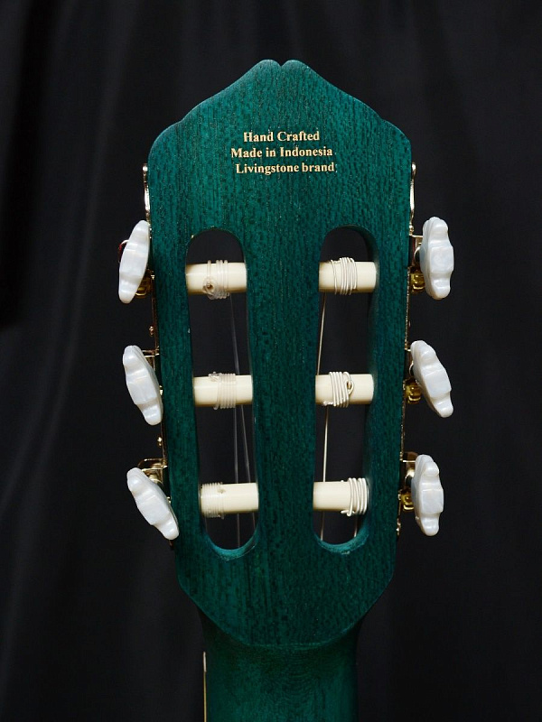 Фото Гитара классическая Livingstone Opera BL