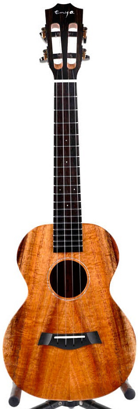 Фото Enya EUT-A1