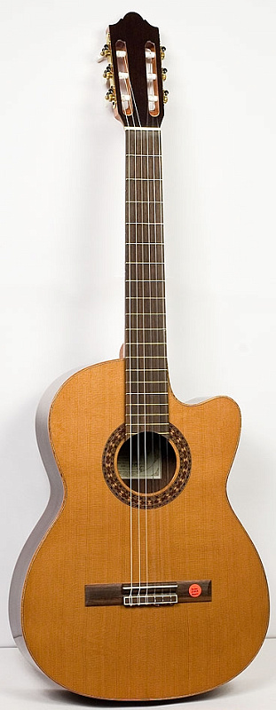 Фото Классическая гитара Cremona (Strunal) C977EA