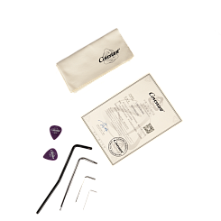 Электрогитара Covenant CUSTOM MODEL BE Lemon в кейсе с аксессуарами