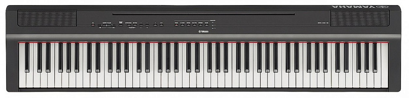 Фото Yamaha P-125B