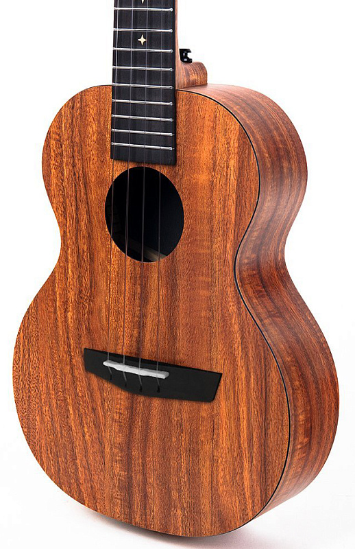 Фото Enya EUT-X1