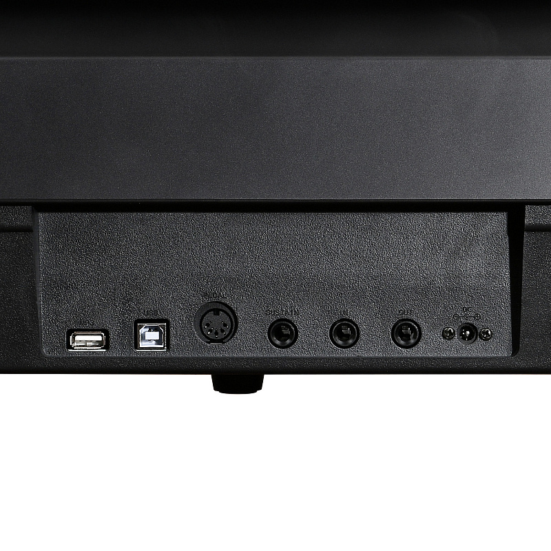 Фото Цифровое фортепиано EMILY PIANO D-20 BK