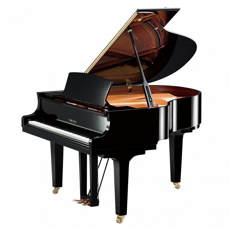 Фото Yamaha C1 PE//X