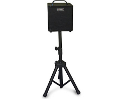  Комбоусилитель для акустической гитары AROMA AG-40A BK