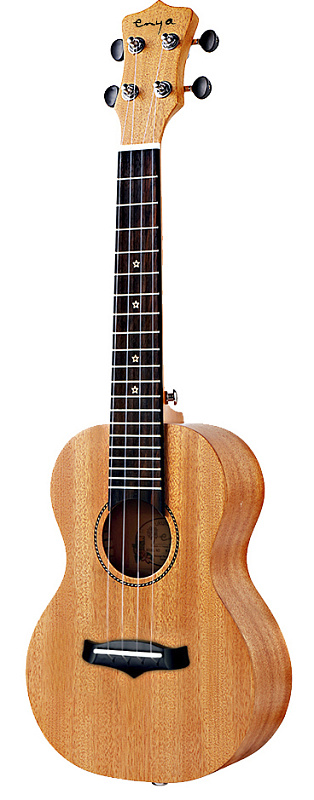 Фото Enya EUS-25D