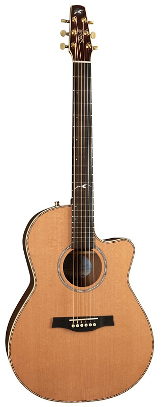 Фото Seagull 041558 Artist Mosaic CW Folk Element DLX TRIC