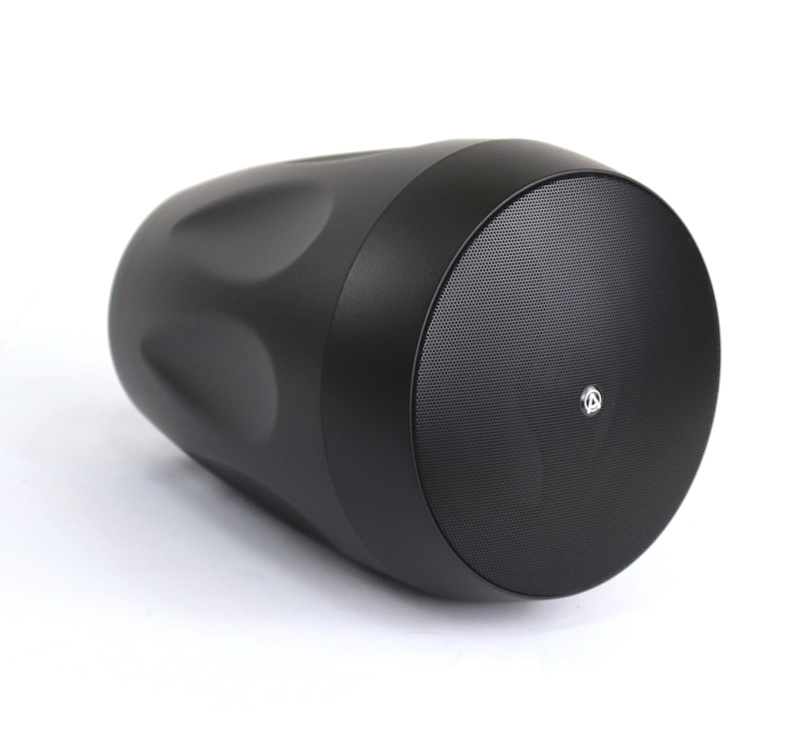 Фото Акустическая система AuraSonics FLORET-6T