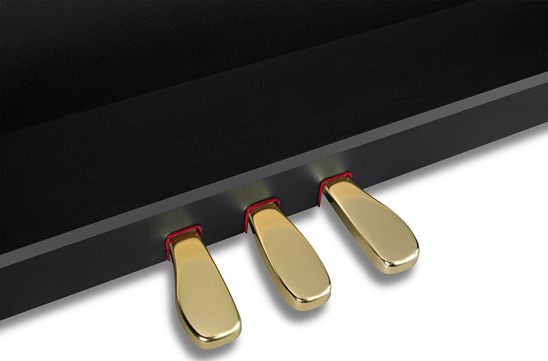 Фото Casio Celviano GP-310BK