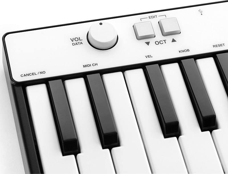 Фото IK MULTIMEDIA iRig Keys Mini